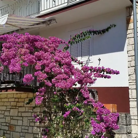 Apartment Francika Rovinj